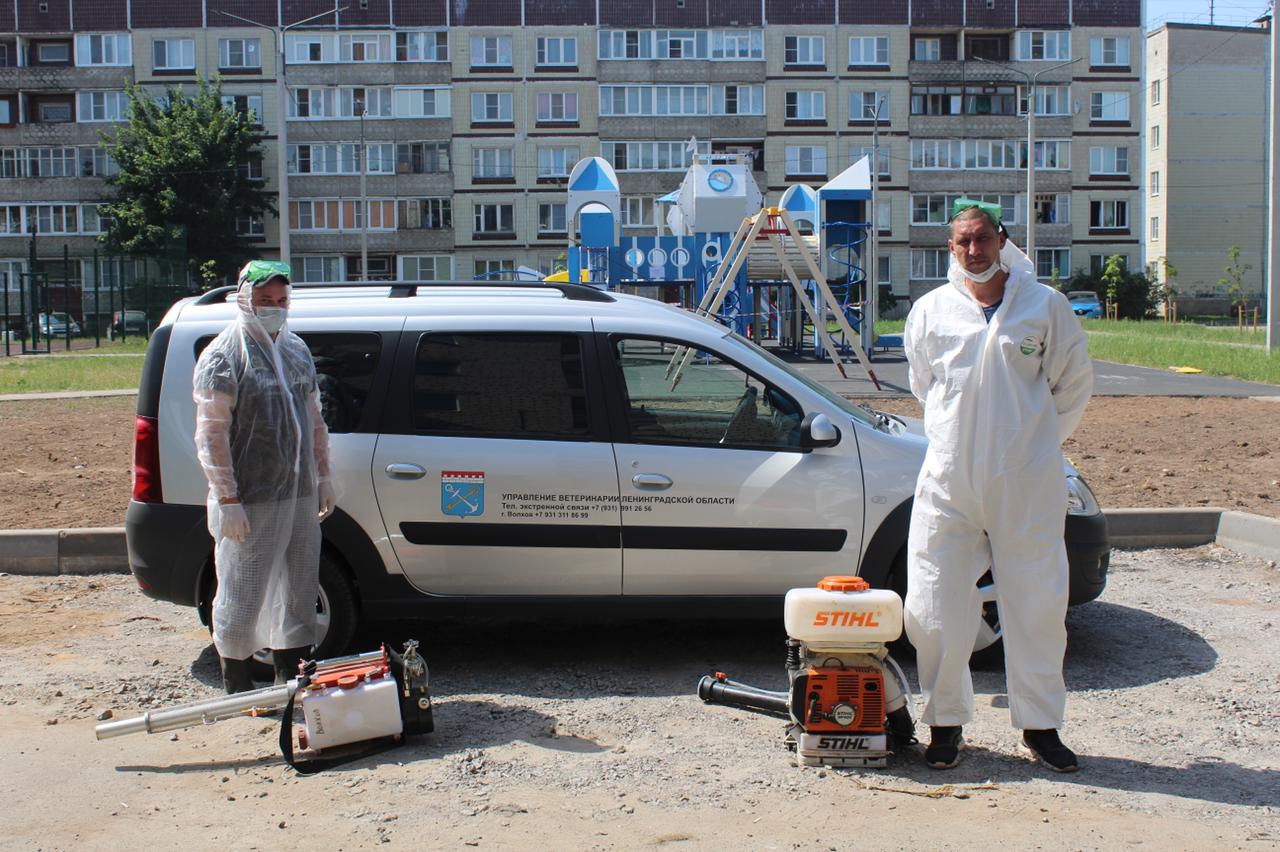 ГБУ ЛО «СББЖ Волховского и Киришского районов» - 